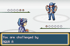 pokemon old white