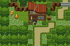 Pokemon Harvestcraft