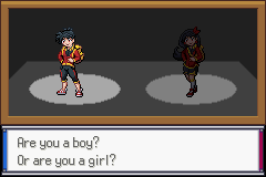 Pokemon Sovereign of the Skies