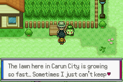 Pokemon Sovereign of the Skies