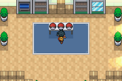 Pokemon Sovereign of the Skies