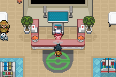 Pokemon Sovereign of the Skies