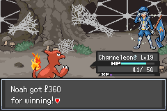 Pokemon Sovereign of the Skies