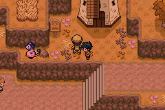 Pokemon Sovereign of the Skies