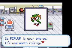 Pokémon Weird Type Fun