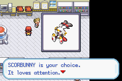 Pokémon Weird Type Fun