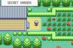 Pokémon Weird Type Fun