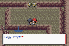 Pokémon Aesthetic Red