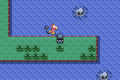 Pokémon Archie’s Quest