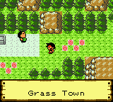 Pokémon Cathode Version