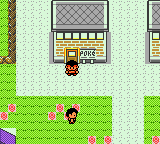 Pokémon Cathode Version