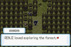 Pokémon Fire of Sky