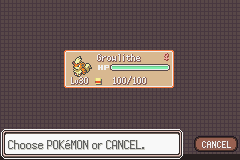 Pokémon Fire of Sky