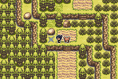 Pokémon Fire of Sky