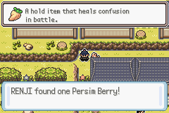 Pokémon Fire of Sky