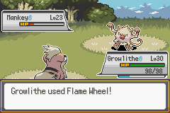 Pokémon Fire of Sky