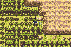 Pokémon Fire of Sky