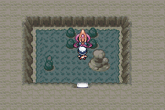 pokemon flora sky rebirth