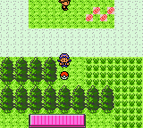 Pokemon Polished Crystal