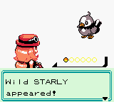 pokemon xy naturia 07