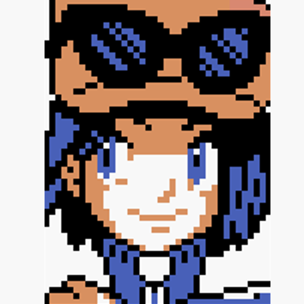 Pokémon XY Naturia download