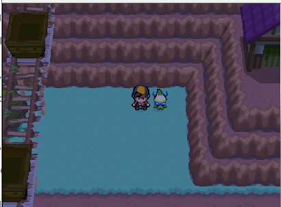 Pokémon Shadow of Time