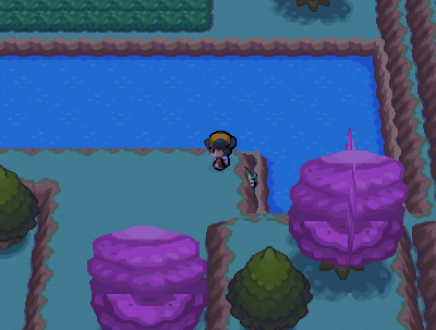 Pokémon Shadow of Time