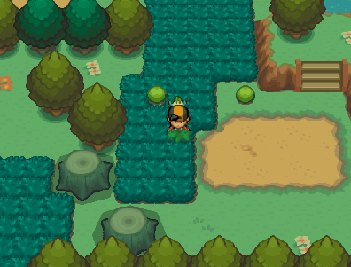 Pokémon Shadow of Time