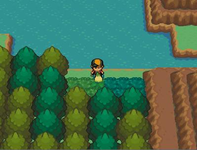 Pokémon Shadow of Time