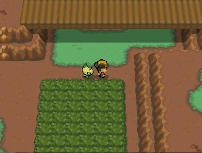 Pokémon Shadow of Time