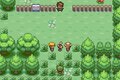 pokemon wish gba