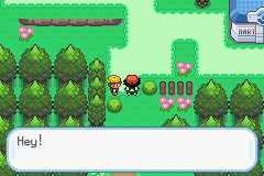 pokemon advanced adventure