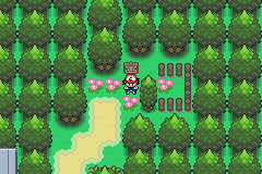 pokemon advanced adventure