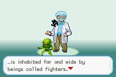 Dragon Ball Z: Team Training