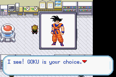 Dragon Ball Z: Team Training