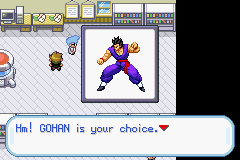 Dragon Ball Z: Team Training