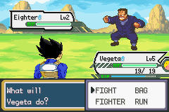 Dragon Ball Z: Team Training