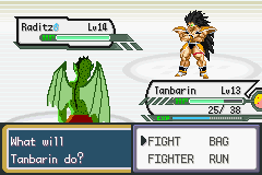 Dragon Ball Z: Team Training