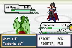 Dragon Ball Z: Team Training