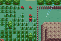 Pokémon Demon Island