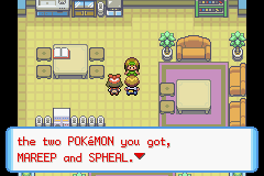 Pokémon Liquid Ocean