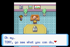 Pokémon Liquid Ocean