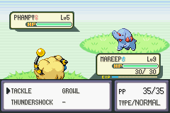 Pokémon Liquid Ocean