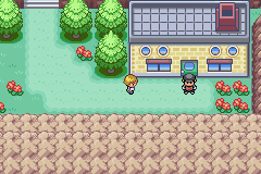 Pokémon Liquid Ocean