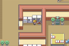 Pokémon Liquid Ocean