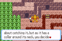 Pokémon SnakeWood 14