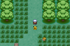 pokemon thunder yellow