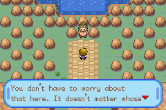 Pokémon Adventure Blue Chapter