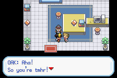 Pokémon Crystal Dust