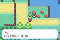 Pokémon Crystal Dust